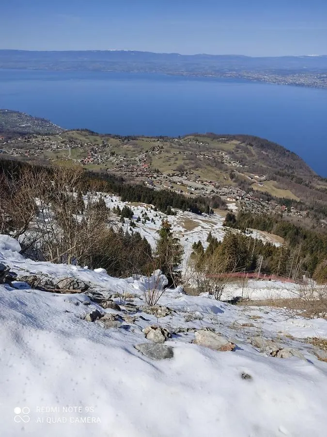 Chalet Le Telemark Wifi Fibre Et Garage Thollon-les-Memises 0*,