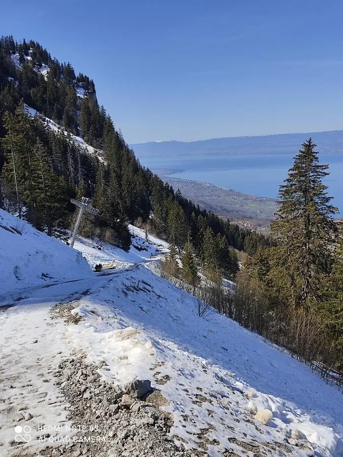 アパート Chalet Le Telemark Wifi Fibre Et Garage Thollon-les-Memises